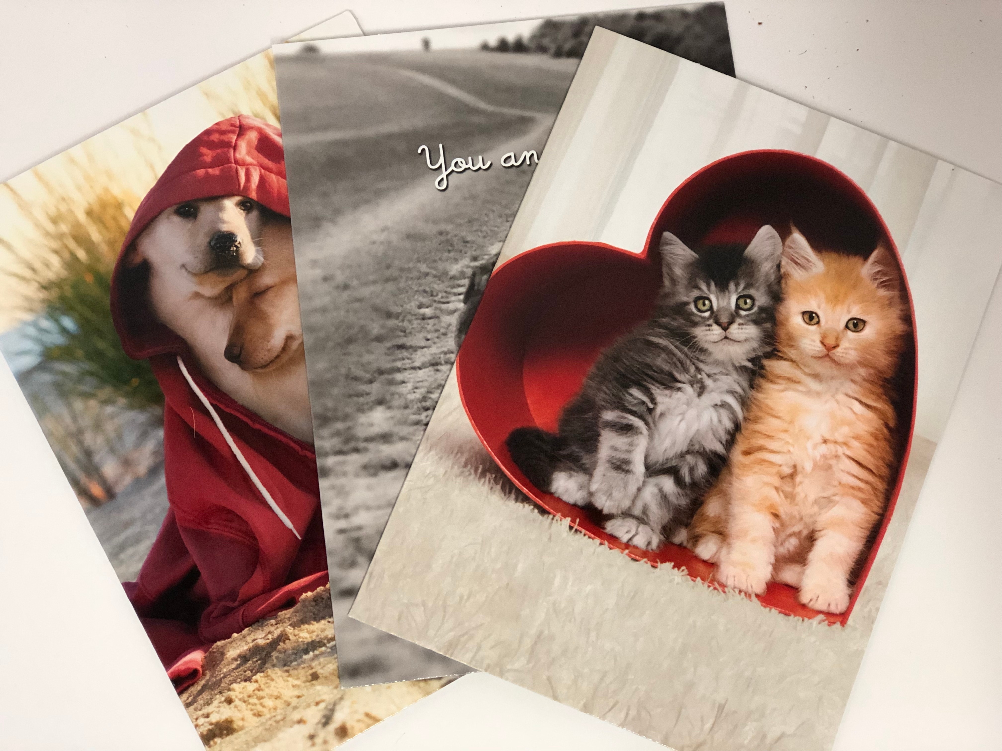 Avanti Valentine’s Day Greeting Card